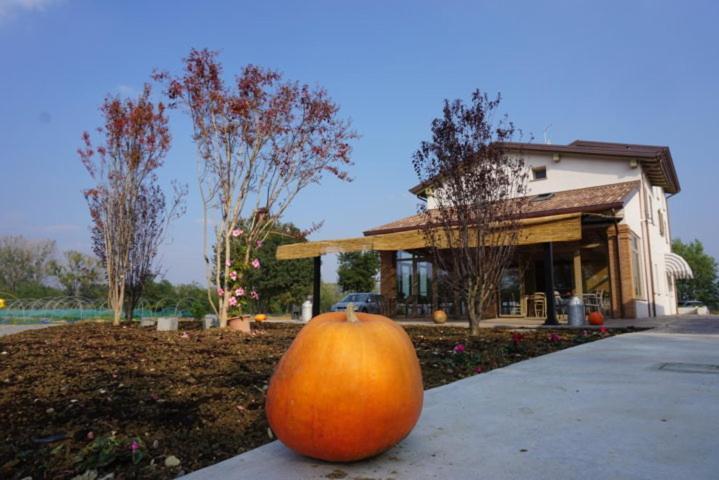 Agriturismo Campogrande Carpaneto Piacentino Εξωτερικό φωτογραφία